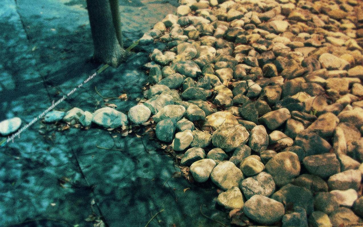 赞快手秒到账,抖音点赞粉丝下单平台,抖音点赞1元100个赞正常吗